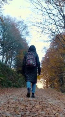 Dağlarda sonbahar. Bir kız, sırt çantalı bir yürüyüşçü, İtalya 'nın Alplerdeki sonbahar ormanlarında yürüyor. Aktif yaşam tarzı. Ağaç yapraklarının kırmızı, turuncu ve sarı tonlarını sergilediği sonbahar dağ manzarası.