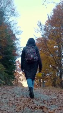 Dağlarda sonbahar. Bir kız, sırt çantalı bir yürüyüşçü, İtalya 'nın Alplerdeki sonbahar ormanlarında yürüyor. Aktif yaşam tarzı. Ağaç yapraklarının kırmızı, turuncu ve sarı tonlarını sergilediği sonbahar dağ manzarası.