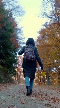 Dağlarda sonbahar. Bir kız, sırt çantalı bir yürüyüşçü, İtalya 'nın Alplerdeki sonbahar ormanlarında yürüyor. Aktif yaşam tarzı. Ağaç yapraklarının kırmızı, turuncu ve sarı tonlarını sergilediği sonbahar dağ manzarası.