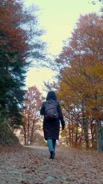 Dağlarda sonbahar. Bir kız, sırt çantalı bir yürüyüşçü, İtalya 'nın Alplerdeki sonbahar ormanlarında yürüyor. Aktif yaşam tarzı. Ağaç yapraklarının kırmızı, turuncu ve sarı tonlarını sergilediği sonbahar dağ manzarası.