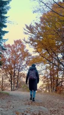 Dağlarda sonbahar. Bir kız, sırt çantalı bir yürüyüşçü, İtalya 'nın Alplerdeki sonbahar ormanlarında yürüyor. Aktif yaşam tarzı. Ağaç yapraklarının kırmızı, turuncu ve sarı tonlarını sergilediği sonbahar dağ manzarası.