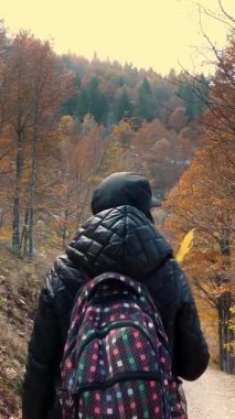 Dağlarda sonbahar. Bir kız, sırt çantalı bir yürüyüşçü, İtalya 'nın Alplerdeki sonbahar ormanlarında yürüyor. Aktif yaşam tarzı. Ağaç yapraklarının kırmızı, turuncu ve sarı tonlarını sergilediği sonbahar dağ manzarası.