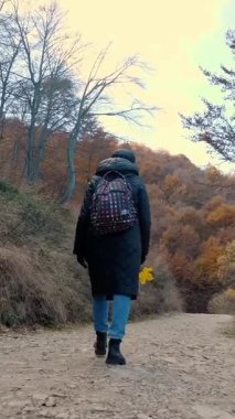 Dağlarda sonbahar. Bir kız, sırt çantalı bir yürüyüşçü, İtalya 'nın Alplerdeki sonbahar ormanlarında yürüyor. Aktif yaşam tarzı. Ağaç yapraklarının kırmızı, turuncu ve sarı tonlarını sergilediği sonbahar dağ manzarası.