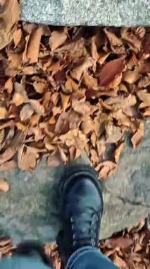 Botlu bir kadın sonbahar parkında yürüyor, Alplerdeki orman. İlk bakış açısı. Orman yolu boyunca düşen yaprakların üzerinde yürüyen çizmeli kadın bacakları. Yüksek kalite 4k görüntü