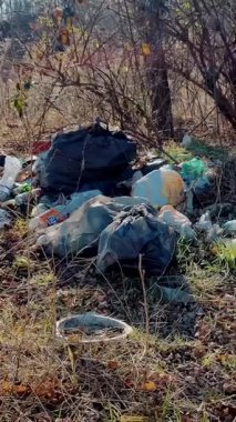 Turistler çöp bıraktı. Kış ormanında bir çöp yığını. Plastik atık - çevresel kirlilik sorunu.