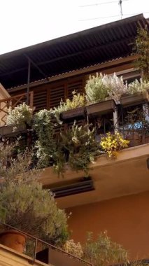 Kentsel Ayarlarda yemyeşil bitkilerle dolu Akdeniz Biçimli Balkon