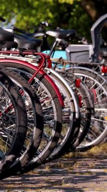 Şehir Bisiklet Rafı Bisikletlerle, Şehir Yaşamının Sahnesi ve Sürdürülebilir Taşımacılıkla Dolu