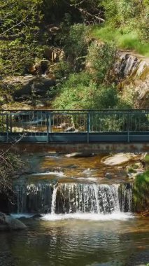 Doğa Temalı Tasarım Projeleri için Lush Forest Ayarlarında Footbridge ile Şelale