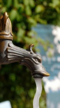 Lush Garden 'daki Rustik Metal Arkaplanına Karşı Klasik Açık Su Musluğu