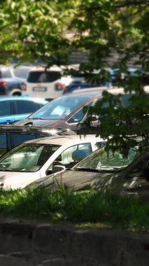 Işıl ışıl güneşli bir günde bereketli yeşilliklerle çevrili yoğun şehir otoparkı