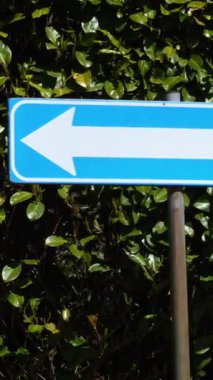 Yön Mavi Yol İşareti Yağ Yeşil Çit Arkaplanına Karşı Navigasyon Kavramları