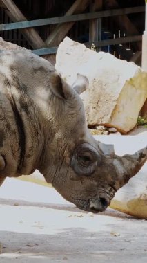 Gergedan Hayvanat Bahçesinde Eğitim ve Vahşi Yaşam Projeleri İçin Mükemmel