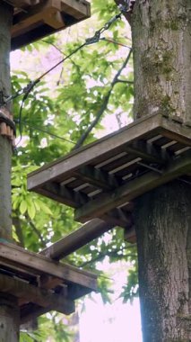 Orman İp Parkı Engelleme Pisti Naylon Tırmanma İpleri Güçlü Düğümlerle Birleştirilmiş