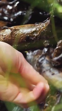 Alplerdeki bir dağ deresinden elini temiz suda yıkayan bir kız. Ekoloji. Turizm ve yürüyüş. Boş zaman. Sağlıklı yaşam tarzı.