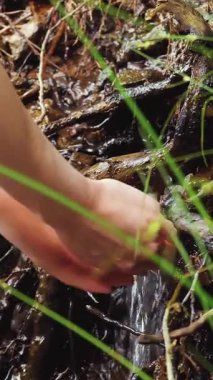 Alplerdeki bir dağ deresinden elini temiz suda yıkayan bir kız. Ekoloji. Turizm ve yürüyüş. Boş zaman. Sağlıklı yaşam tarzı.