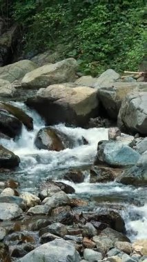 Deresi, deresi ya da küçük ve hızlı bir dağ nehri ve kristal berrak akan su. Kaynak, kaynak suyu. Yaz günü. Su taşların üzerinden akar, dağların üzerinden, ormandaki. Manzara rahatlatıcı manzara.