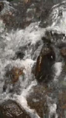 Vahşi dağ nehri. Yakın plan. Üst Manzara. Kristal berrak suyu olan küçük bir dağ nehri. Taştan akıntılar ve taşlardan akan hızlı su ormandaki ıssız alanlarda akıyor. Nehir kayaları