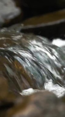 Vahşi dağ nehri. Yakın plan. Kristal berrak suyu olan küçük bir dağ nehri. Taştan akıntılar ve taşlardan akan hızlı su ormandaki ıssız alanlarda akıyor. Nehir taşları, kayalık zemin. bahar, kaynak. Doğada güzellik.