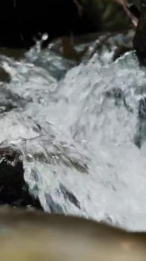 Vahşi dağ nehri. Yakın plan. Kristal berrak suyu olan küçük bir dağ nehri. Taştan akıntılar ve taşlardan akan hızlı su ormandaki ıssız alanlarda akıyor. Nehir taşları, kayalık zemin. bahar, kaynak. Doğada güzellik.