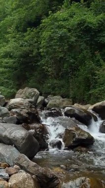 Deresi, deresi ya da küçük ve hızlı bir dağ nehri ve kristal berrak akan su. Kaynak, kaynak suyu. Yaz günü. Su taşların üzerinden akar, dağların üzerinden, ormandaki. Manzara rahatlatıcı manzara.