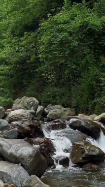 Deresi, deresi ya da küçük ve hızlı bir dağ nehri ve kristal berrak akan su. Kaynak, kaynak suyu. Yaz günü. Su taşların üzerinden akar, dağların üzerinden, ormandaki. Manzara rahatlatıcı manzara.