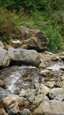 Ormandaki akarsu. Bir dağ nehrinin üzerindeki taş köprü. Nehir ya da küçük ve hızlı bir dağ nehri ve kristal berrak akan su. Kaynak, kaynak suyu. Yaz günü. Su taşların, dağların ve ormanların üzerinden akar.. 