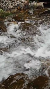 Vahşi dağ nehri. Yakın plan. Kristal berrak suyu olan küçük bir dağ nehri. Taştan akıntılar ve taşlardan akan hızlı su ormandaki ıssız alanlarda akıyor. Nehir taşları, kayalık zemin. bahar, kaynak. Doğada güzellik.