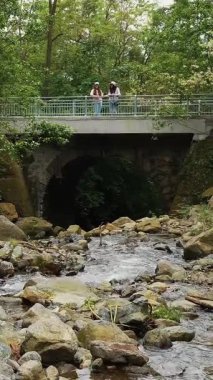 Ormandaki akarsu. Bir dağ nehrinin üzerindeki taş köprü. Nehir ya da küçük ve hızlı bir dağ nehri ve kristal berrak akan su. Kaynak, kaynak suyu. Yaz günü. Su taşların, dağların ve ormanların üzerinden akar..