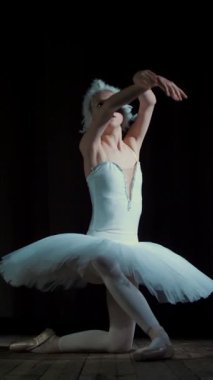 spot ışık, Sahne Alanı'ndaki eski tiyatro salonunun ışınları içinde. Beyaz Kuğu ve pointe ayakkabı, takım elbiseli genç balerin dans ediyor zarif belirli bale hareket, bölümü de sütyen.