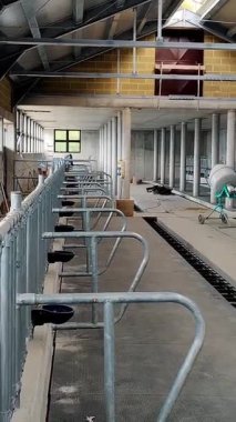 Otomatik Besleme Sistemi ve Havalandırması olan Modern Süt Ürünleri Çiftliği İçi
