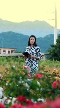 Çalışan işiyle ilgili notlar alıyor. Çiçekler. Elektrik santrali. Bahçecilik çiftliği. Tarım işletmesi. Gül tarlası. Dağların arka planına karşı. Gün batımı. Uzman.