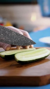 Sebze karışımı. Sebze. Yakın plan. Farklı taze sebzeler, salatalık, domates, marul, dolma biber gibi..