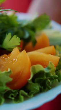 Salata. Sebze karışımı. Sebze. Yakın plan. Farklı taze sebzeler, salatalık, domates, marul, dolma biber gibi..