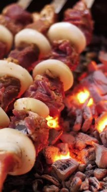 şiş kebap domuz eti, şiş üzerinde gelen kömürlerin üzerinde kızarmış. yakın çekim. Panjur kömür ve alev, piknik, sokak gıda