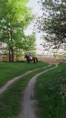 bahar, On Sunset, kız binici, safkan güzel kahverengi aygır, eski çiçek açması elma bahçesi ile sürme jokey. çiçek bahçesinde çalışan at. ateş stedicam