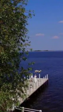 aero, güzel çift yeni evliler güzel iskelede yürüyor, damat elinde balonları tutar, birbirlerine bakmak, gülümseyerek, mavi deniz ve gökyüzüne karşı. yaz güneşli gün. Düğün