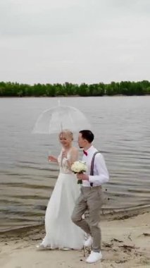 aero, güzel yeni evliler plaj boyunca yürüyüş, şeffaf bir şemsiye altında, mavi gökyüzüne karşı, nehir, ve nehir üzerinde büyük bir köprü. bahar güneşli ve biraz yağmurlu bir gün. Düğün