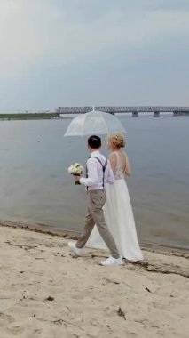 aero, güzel yeni evliler plaj boyunca yürüyüş, şeffaf bir şemsiye altında, mavi gökyüzüne karşı, nehir, ve nehir üzerinde büyük bir köprü. bahar güneşli ve biraz yağmurlu bir gün. Düğün