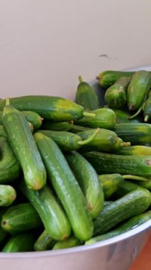 Yakın plan, büyük kaplar dolusu taze yeşil salatalık. Salatalık hasat et.