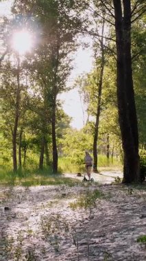 Ormanda ya da park alanında scooter süren bir çocuk. Çimenler kavak tüyüyle kaplıdır. Sıcak yaz günü.
