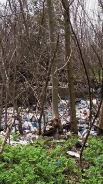 Ormandaki çöplük. Ekolojik bir sorun. Bahar ormanının ortasında yasadışı çöplük. Bir yığın plastik torba, yiyecek atıkları, çöpler, açık havaya atılmış. Çevre kirliliği. Ormanda depolama