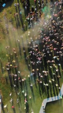 Pudra boyaları. Havacılık. Üst hava manzaralı. Birçok insan parkta renk festivali sırasında kuru boya tozu atarak eğleniyor. yaz
