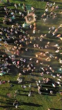 Pudra boyaları. Havacılık. Üst hava manzaralı. Birçok insan parkta renk festivali sırasında kuru boya tozu atarak eğleniyor. yaz.
