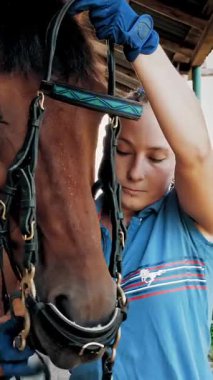 At bakımı. Atlı kadın körfez atından faydalanıyor, Palfrey 'i ata binmeye hazırlıyor. Malzeme. Jokeylik. Binicilik. Binicilik sporu. Ata binmek.