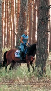 Ata binmek. Malzeme. Genç bayan, atlı adam ormanda kahverengi ata biniyor. Güneşli yaz gününde, güneş ışınlarında..