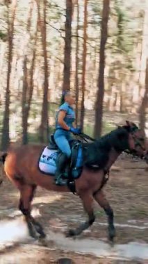 Ata binmek. Malzeme. Genç bayan, atlı adam ormanda kahverengi ata biniyor. Güneşli yaz gününde, güneş ışınlarında..