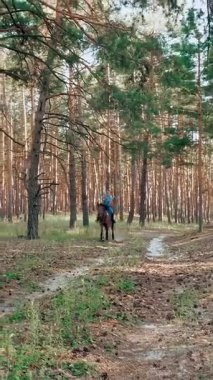 Ata binmek. Malzeme. Genç bayan, atlı adam ormanda kahverengi ata biniyor. Güneşli yaz gününde, güneş ışınlarında..