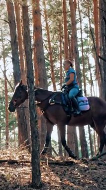Ata binmek. Malzeme. Genç bayan, atlı adam ormanda kahverengi ata biniyor. Güneşli yaz gününde, güneş ışınlarında..