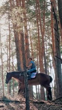Ata binmek. Malzeme. Genç bayan, atlı adam ormanda kahverengi ata biniyor. Güneşli yaz gününde, güneş ışınlarında..