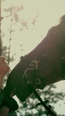 At sevgisi. Yaz ormanında, gün batımında genç bir kadın ve atının siluetleri. arka ışık. İnsan ve at arasındaki dostluk. Eşitlik.